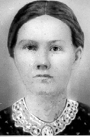 nwms1.gif (55815 bytes)