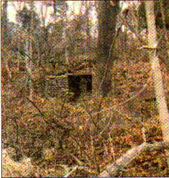 hgrove2.jpg (32401 bytes)