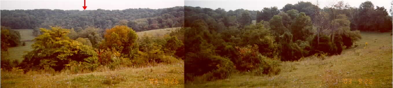 15.jpg (42525 bytes)