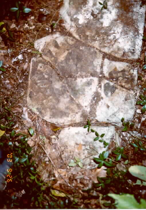 17.jpg (51352 bytes)