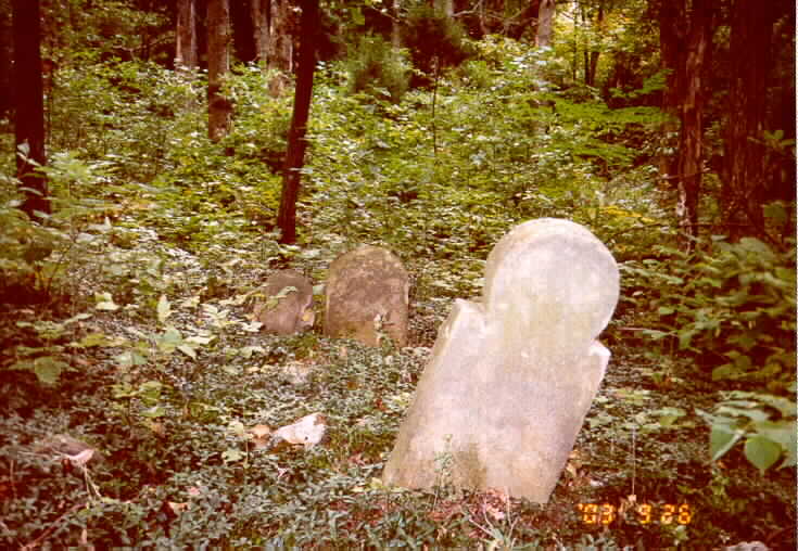 19.jpg (69144 bytes)