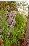 cliffp.jpg (4827 bytes)